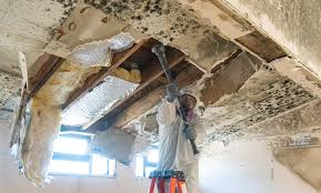 Best Mold Prevention Services  in Sloatsburg, NY